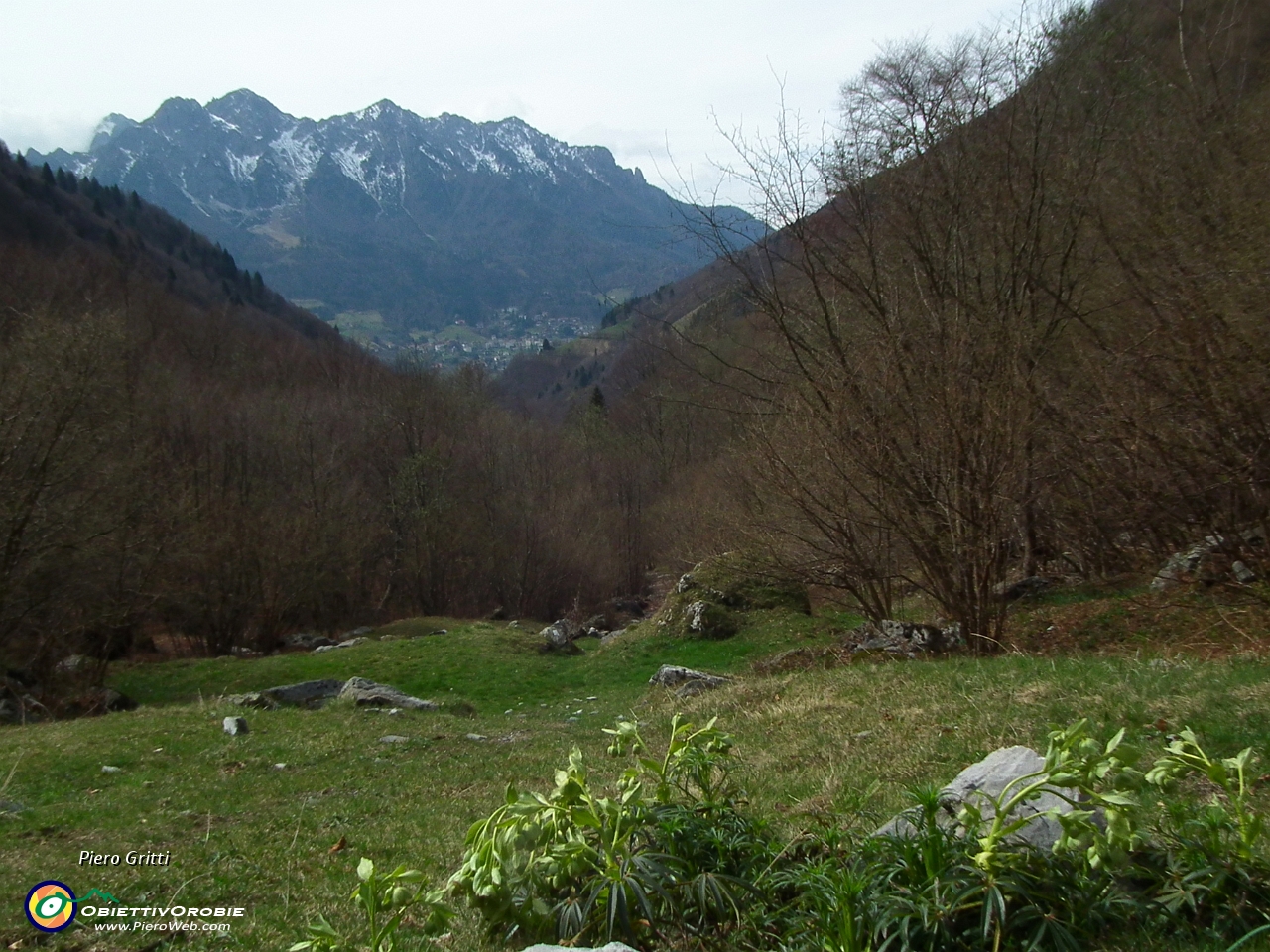 17 Nel bosco radura a prato.JPG